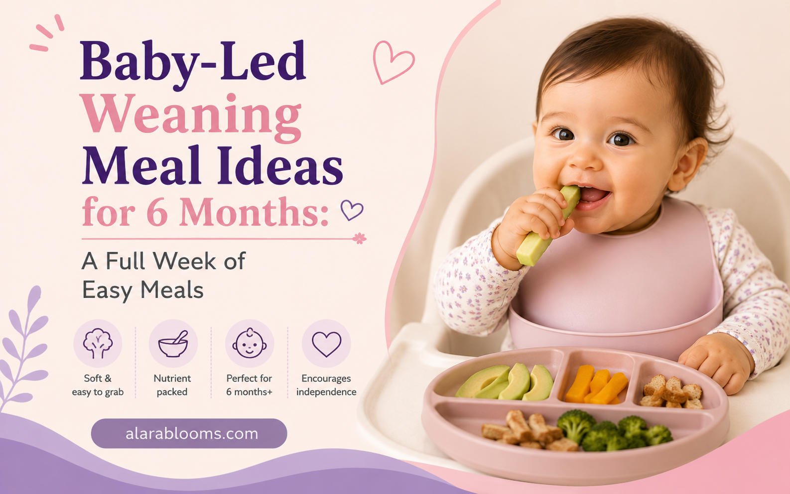 Baby-led weaning meal ideas for 6 months